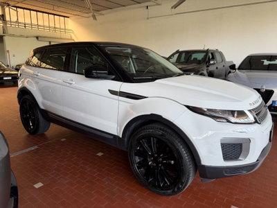 Land Rover Range Rover Evoque 2.0 eD4 5p. Pure (2)