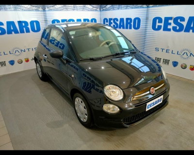 Fiat 500 1.0 Hybrid Cult usata