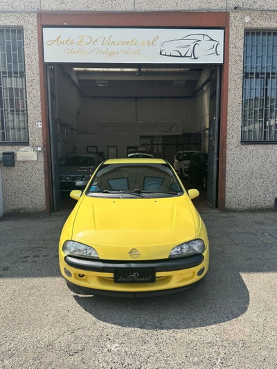 Opel Tigra 16V cat (2)