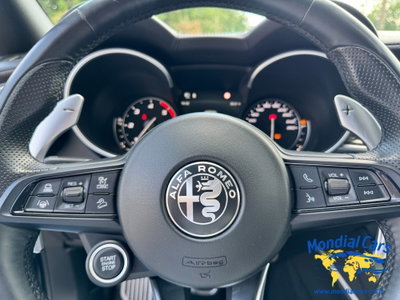 Alfa Romeo Stelvio Stelvio 2.2 Turbodiesel 210 CV AT8 Q4 Veloce Tì (17)