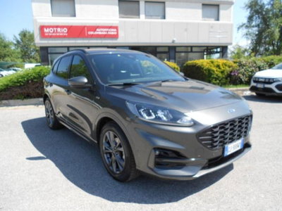 Ford Kuga 2.0 EcoBlue Hybrid 150 CV 2WD ST-Line X usata