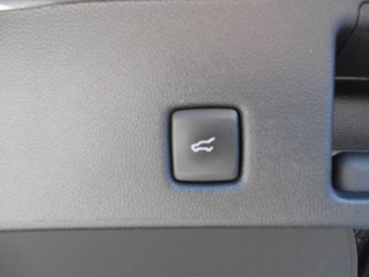 Ford Kuga 2.0 EcoBlue Hybrid 150 CV 2WD ST-Line X (16)