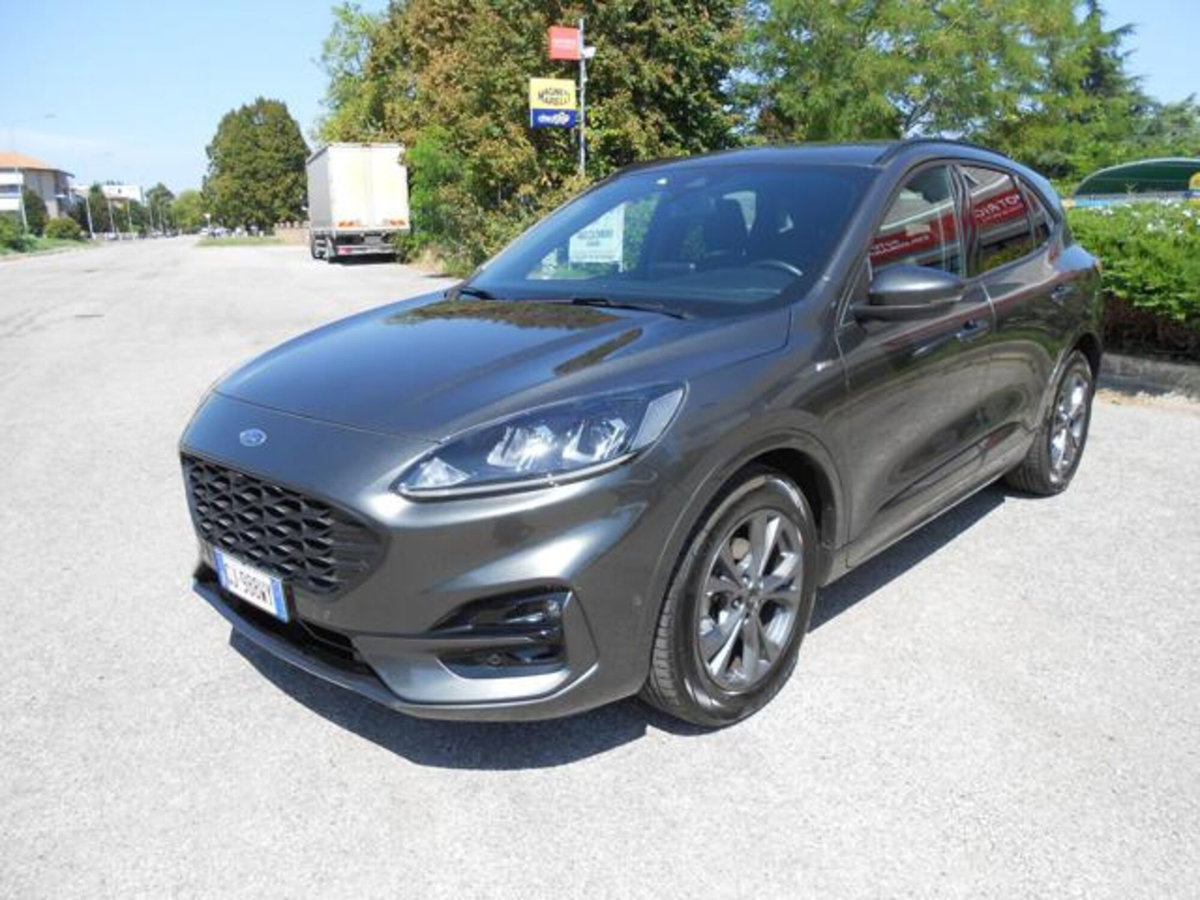 Ford Kuga 2.0 EcoBlue Hybrid 150 CV 2WD ST-Line X (3)