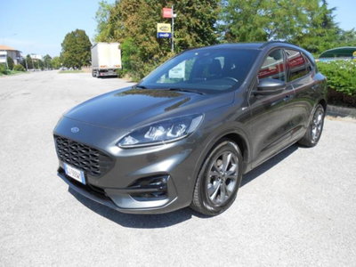 Ford Kuga 2.0 EcoBlue Hybrid 150 CV 2WD ST-Line X (3)