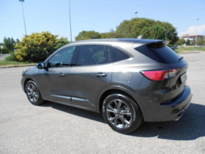 Ford Kuga 2.0 EcoBlue Hybrid 150 CV 2WD ST-Line X (4)