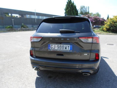 Ford Kuga 2.0 EcoBlue Hybrid 150 CV 2WD ST-Line X (5)