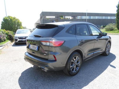 Ford Kuga 2.0 EcoBlue Hybrid 150 CV 2WD ST-Line X (6)