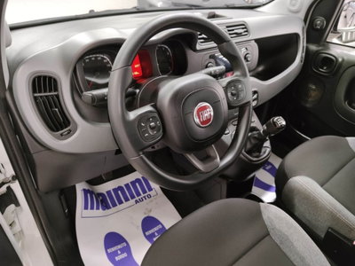 Fiat Panda 1.0 FireFly S&S Hybrid City Cross (8)