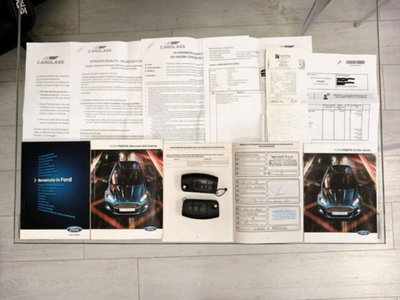 Ford Fiesta 1.0 EcoBoost 100CV 5 porte Individual (15)