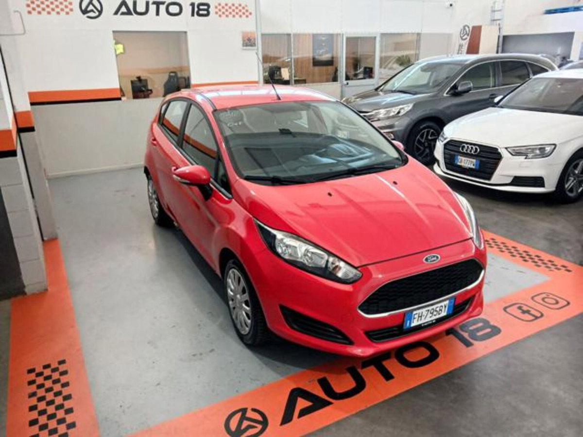 Ford Fiesta 1.0 EcoBoost 100CV 5 porte Individual (16)