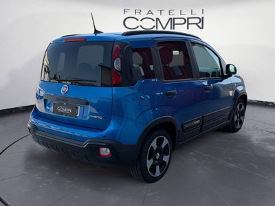 Fiat Panda Cross Cross 1.0 FireFly S&S Hybrid (4)
