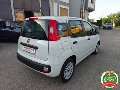 Fiat Panda 1.2 EasyPower Easy (5)