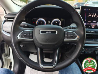 Jeep Compass 1.6 Multijet II 2WD Business (19)
