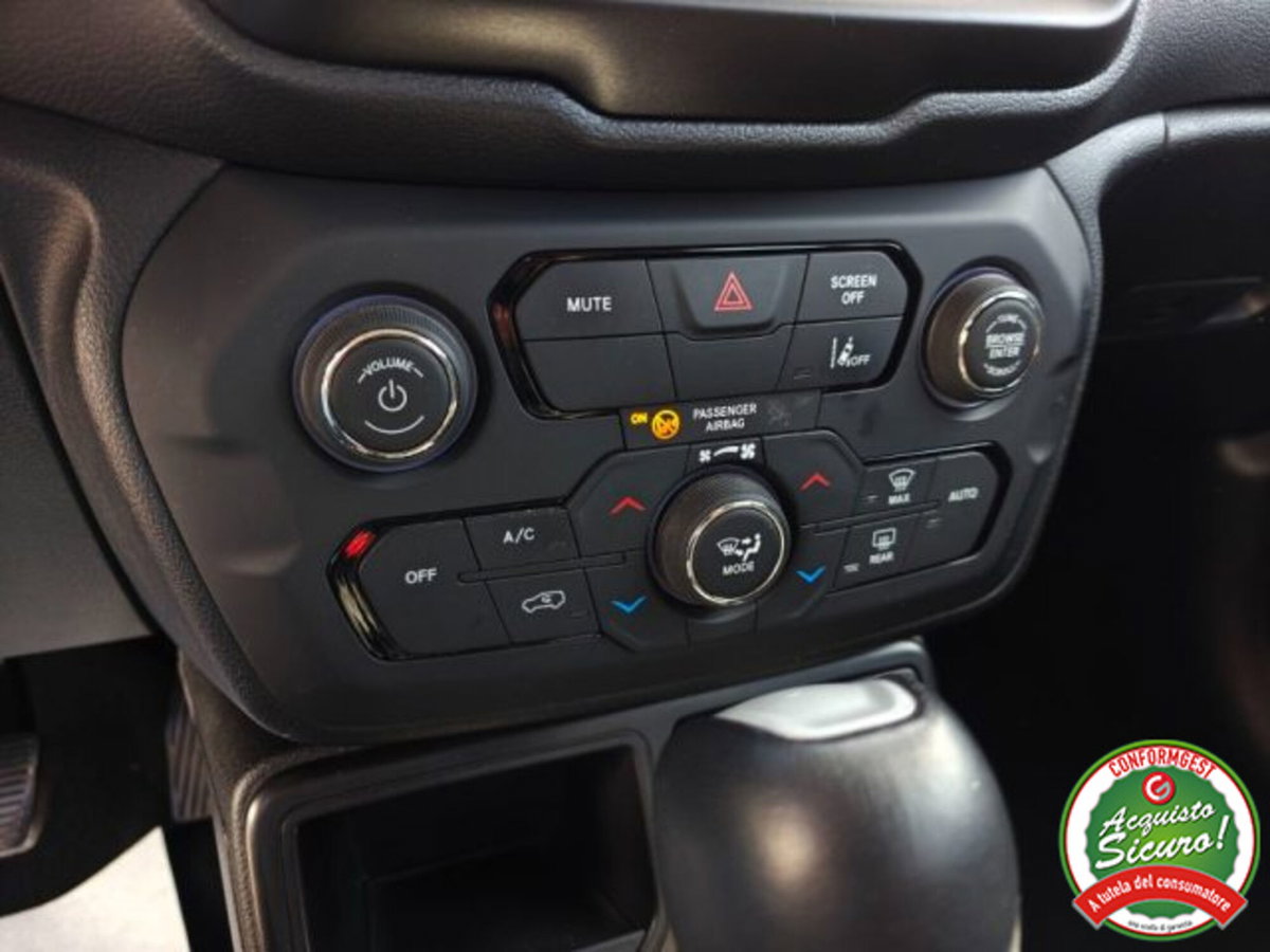Jeep Renegade 1.5 Turbo T4 MHEV Limited (15)