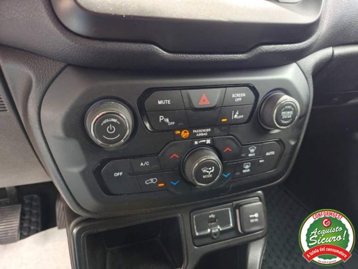 Jeep Renegade 1.6 Mjt 130 CV Limited (15)