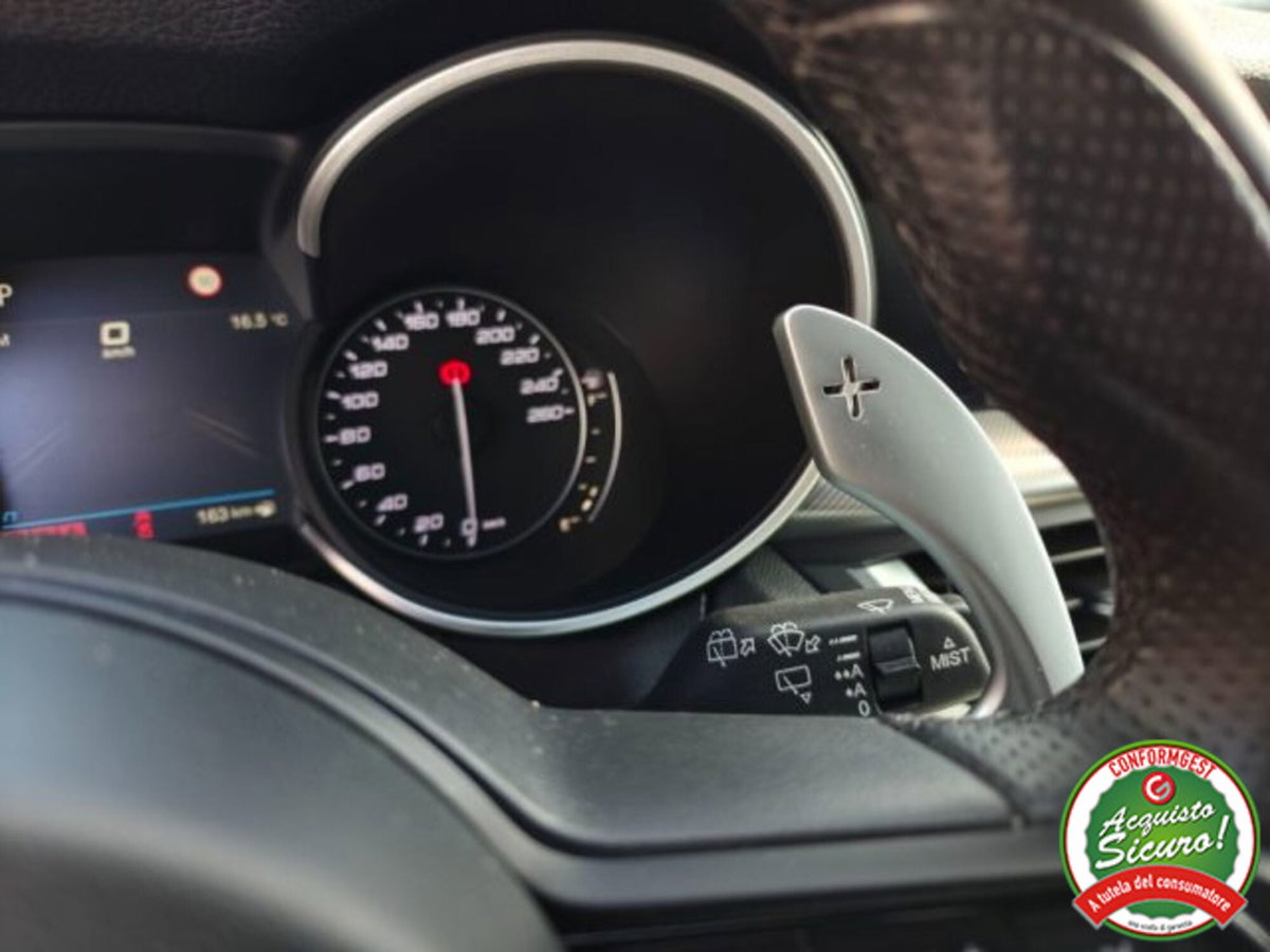 Alfa Romeo Stelvio Stelvio 2.2 Turbodiesel 160 CV AT8 RWD Sprint (15)