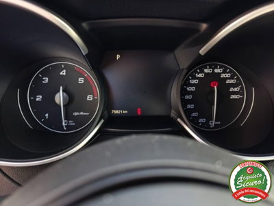 Alfa Romeo Stelvio Stelvio 2.2 Turbodiesel 160 CV AT8 RWD Sprint (16)