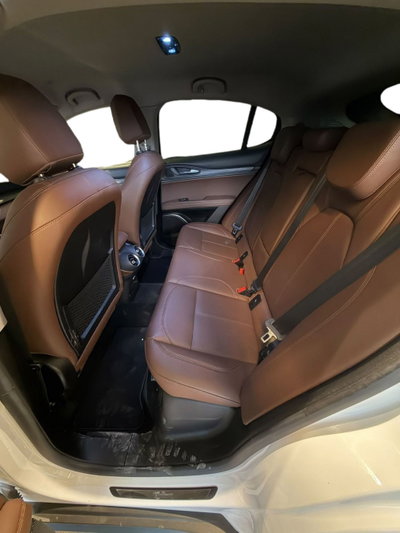 Alfa Romeo Stelvio Stelvio 2.2 Turbodiesel 180 CV AT8 RWD Super (15)