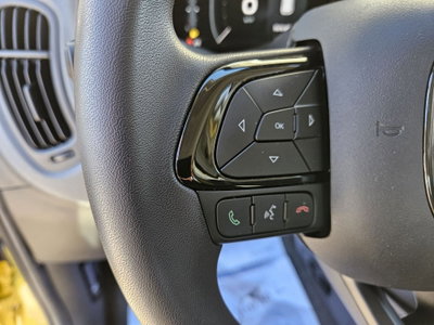Fiat Pandina 1.0 firefly hybrid Icon s&s 65cv (15)