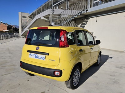 Fiat Pandina 1.0 firefly hybrid Icon s&s 65cv (7)