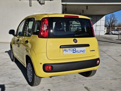 Fiat Pandina 1.0 firefly hybrid Icon s&s 65cv (8)