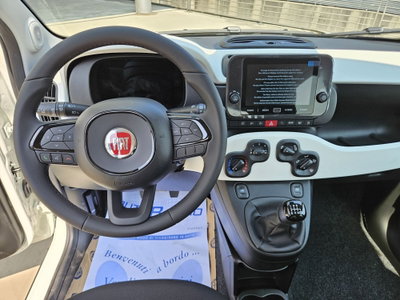 Fiat Pandina 1.0 firefly hybrid s&s 65cv (12)