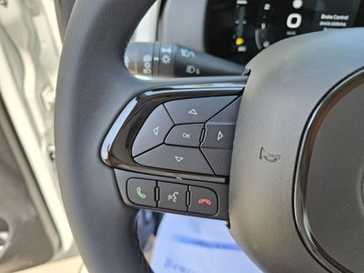 Fiat Pandina 1.0 firefly hybrid s&s 65cv (14)