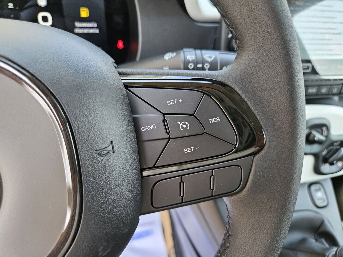 Fiat Pandina 1.0 firefly hybrid s&s 65cv (15)