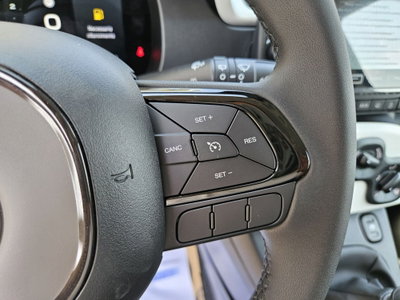 Fiat Pandina 1.0 firefly hybrid s&s 65cv (15)