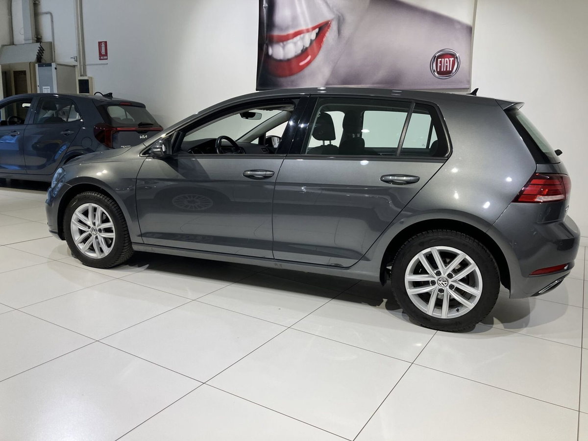 Volkswagen Golf 1.6 TDI 115 CV 5p. Business BlueMotion Technology (4)