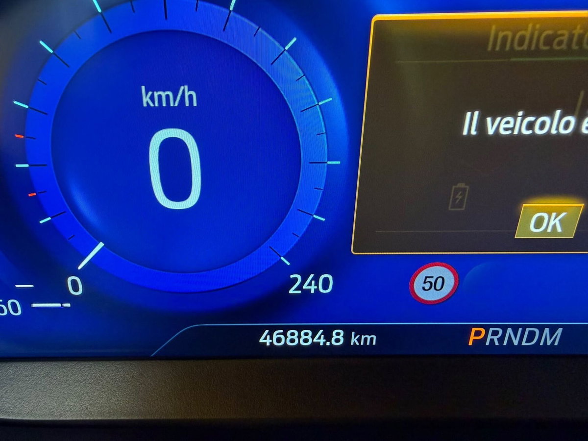 Ford Focus 1.0 EcoBoost Hybrid 155 CV 5p. ST-Line X (9)