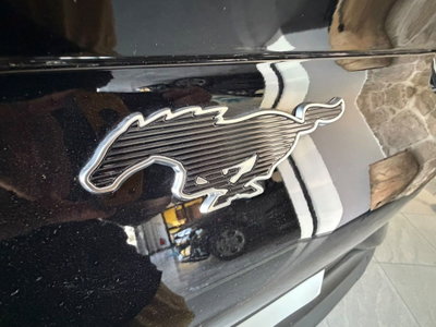 Ford Mustang Mach-E Extended 294CV Premium (3)