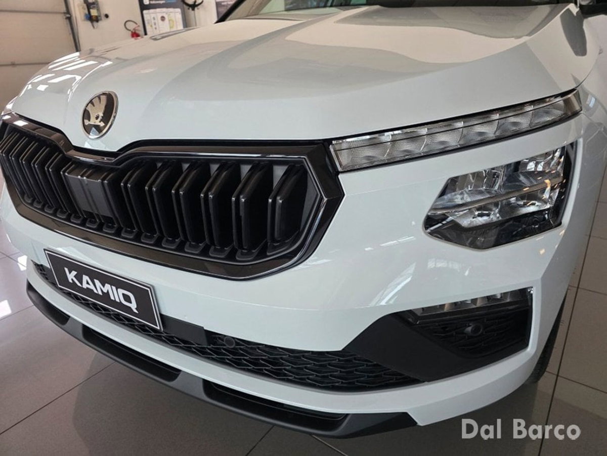 Skoda Kamiq 1.0 tsi Be More 115cv dsg (7)