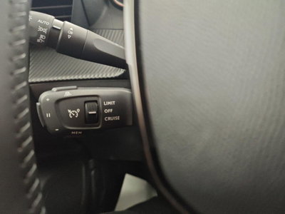 Peugeot 2008 PureTech 100 S&S Allure (20)
