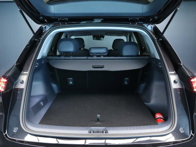 Geely Starray Starray EM-i 1.5 phev Pro auto (19)