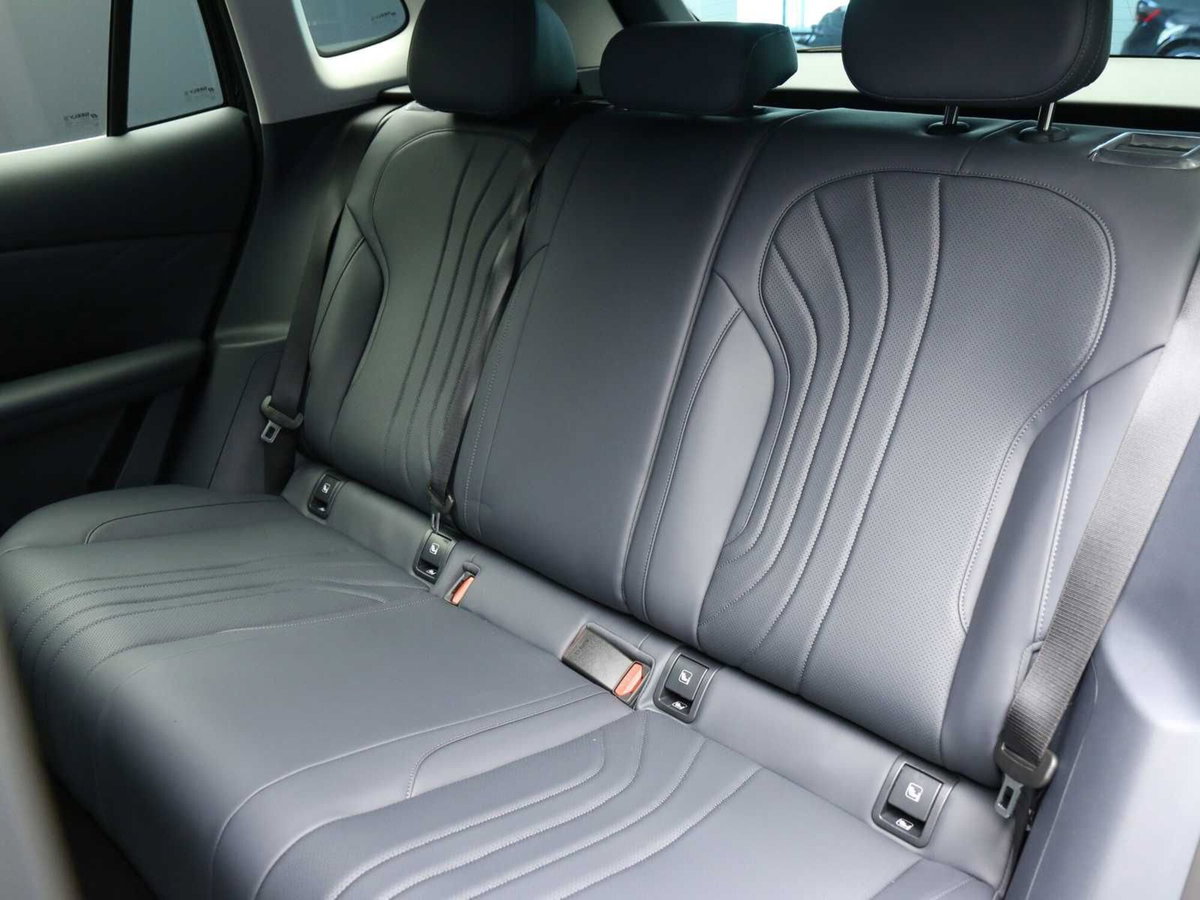 Geely Starray Starray EM-i 1.5 phev Pro auto (9)
