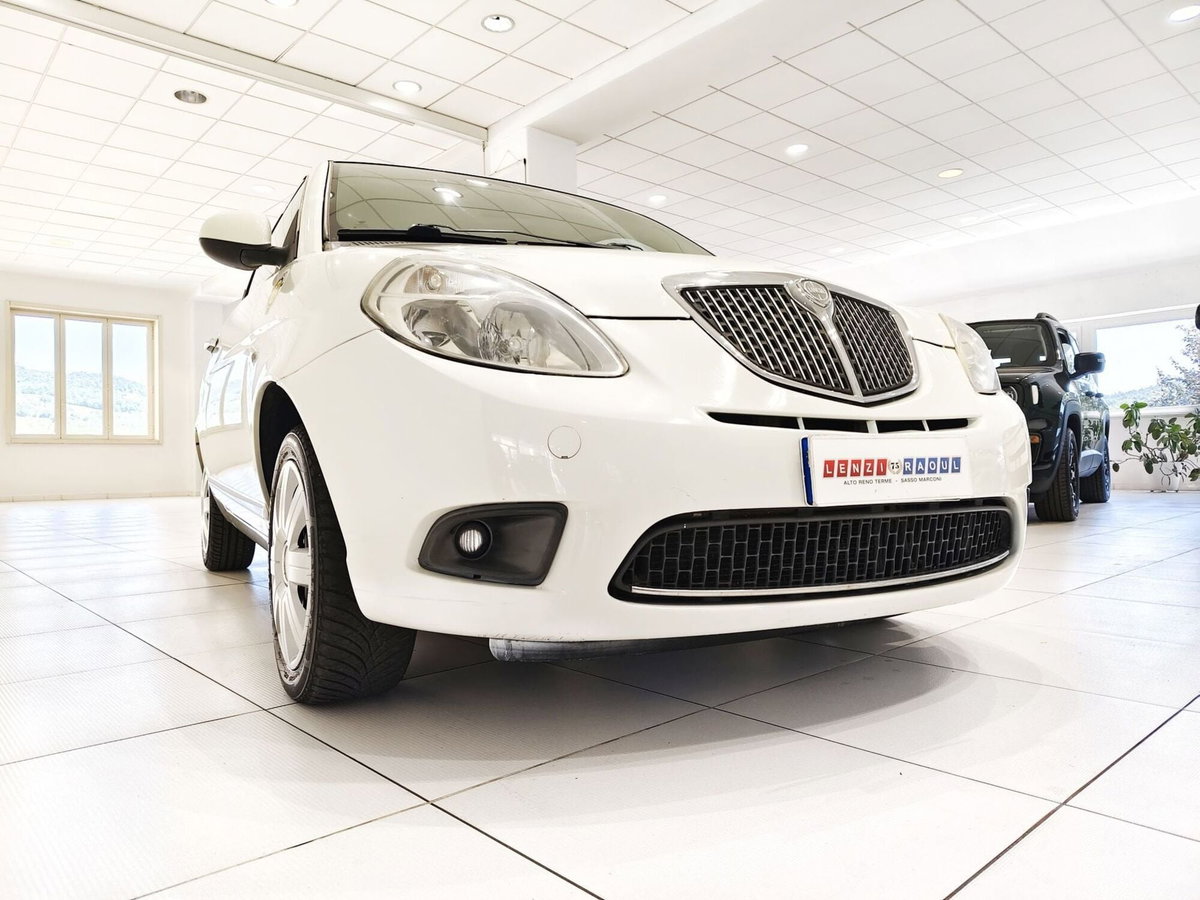 Lancia Ypsilon 1.3 MJT 75 CV Diva (10)
