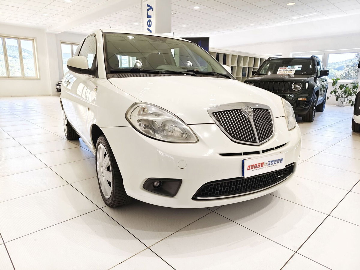 Lancia Ypsilon 1.3 MJT 75 CV Diva (14)