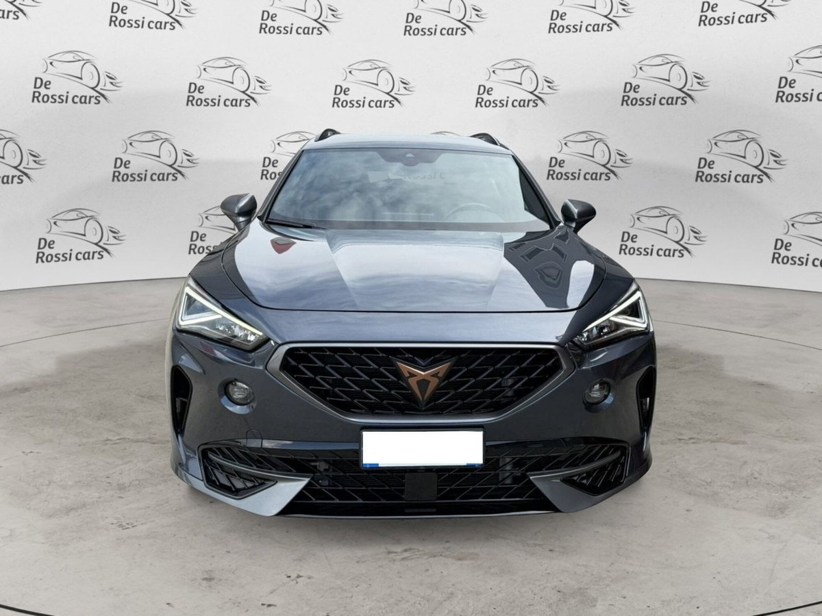 Cupra Formentor Formentor 2.0 tdi 4drive 150cv dsg (2)