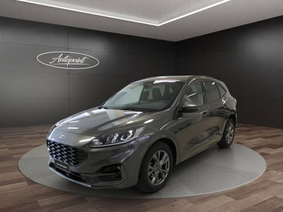 Ford Kuga 2.0 EcoBlue 120 CV aut. 2WD ST-Line X usata