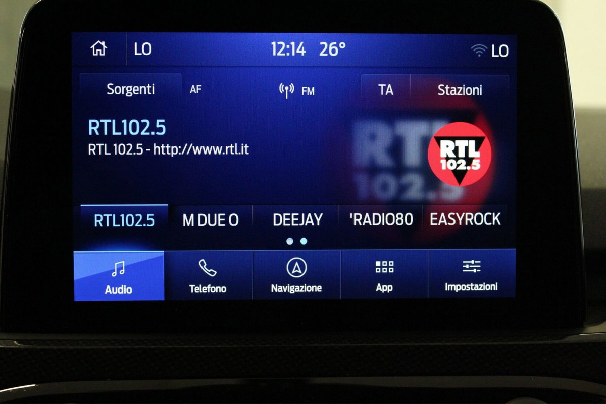 Ford Kuga 2.0 EcoBlue 120 CV aut. 2WD ST-Line X (18)
