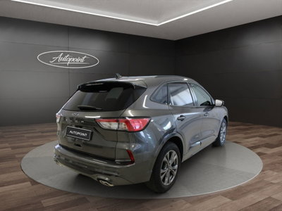 Ford Kuga 2.0 EcoBlue 120 CV aut. 2WD ST-Line X (7)