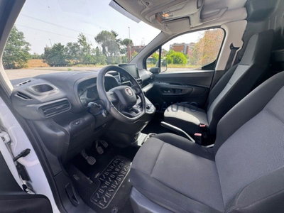 Fiat Doblò Furgone cargo maxi 1.6 mjt 90cv LH1 Lounge S&S (10)