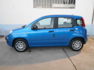 Fiat Panda Cross Cross 1.0 FireFly S&S Hybrid (6)