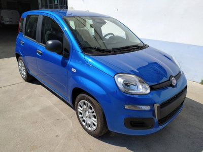 Fiat Panda Cross Cross 1.0 FireFly S&S Hybrid (15)