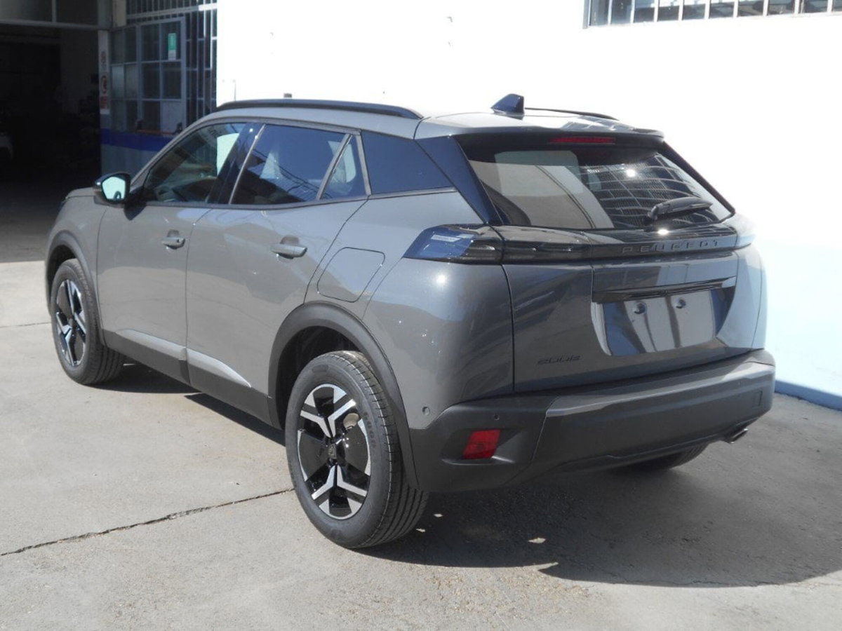 Peugeot 2008 54 kWh Allure (5)