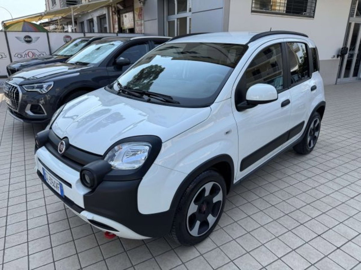 Fiat Panda Cross 1.0 firefly hybrid Cross s&s 70cv 5p.ti (3)