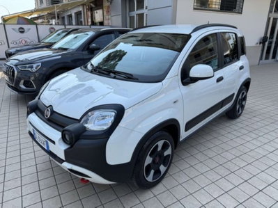 Fiat Panda Cross 1.0 firefly hybrid Cross s&s 70cv 5p.ti (3)