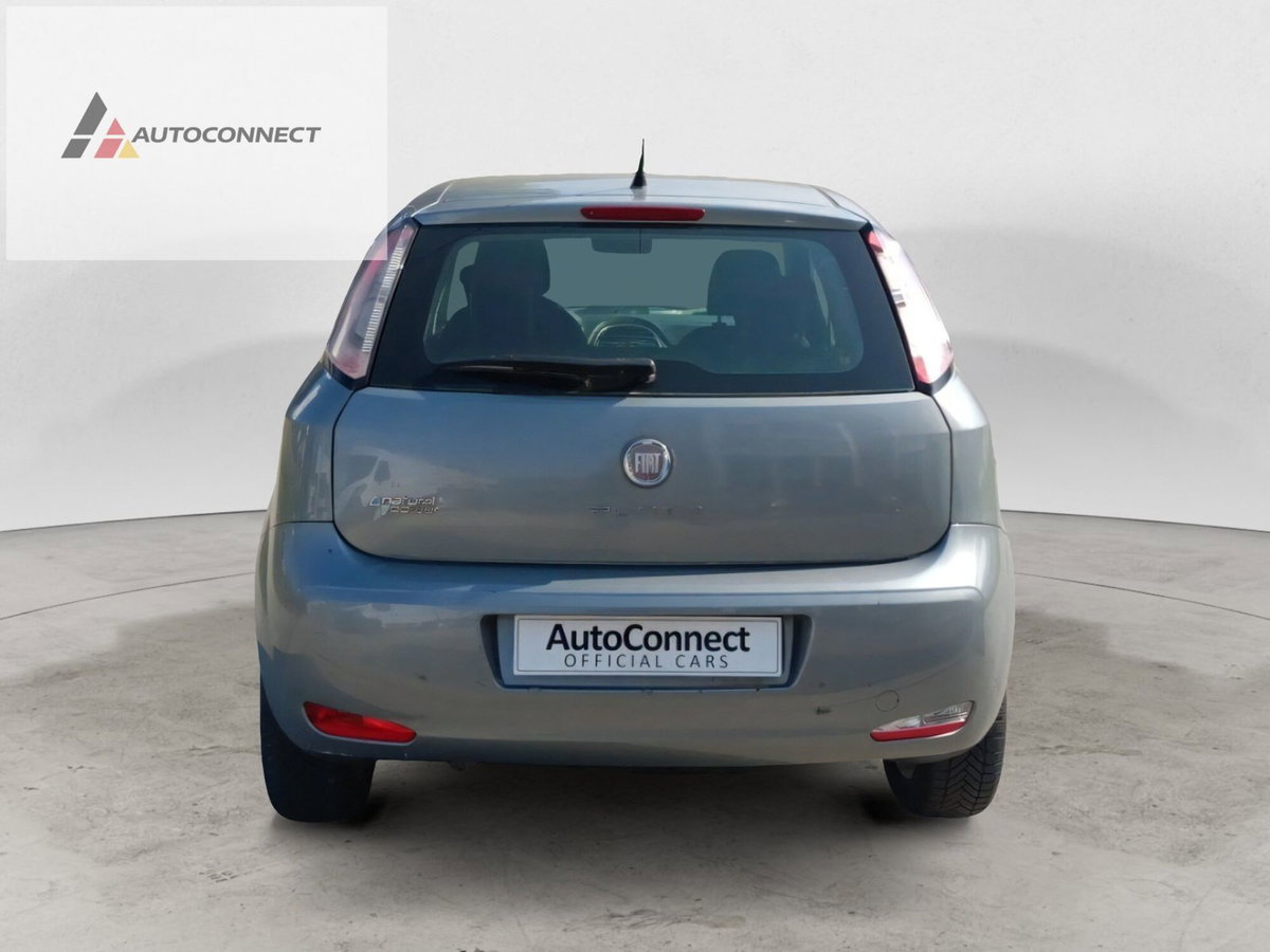Fiat Punto Evo 1.4 5 porte Dynamic Natural Power (5)