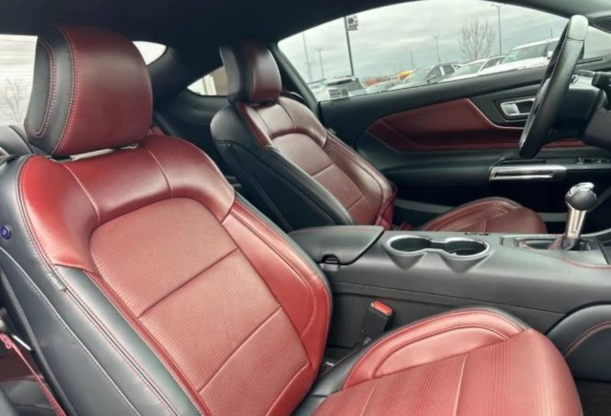 Ford Mustang Coupé Fastback 2.3 EcoBoost (15)